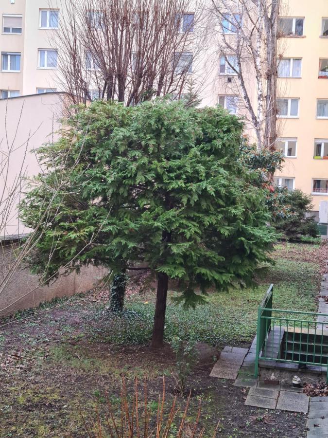 Apartment Ismens Вена Экстерьер фото